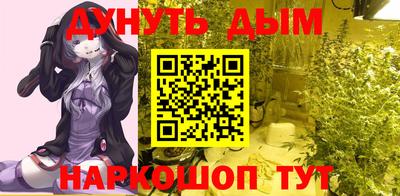 индика Апшеронск