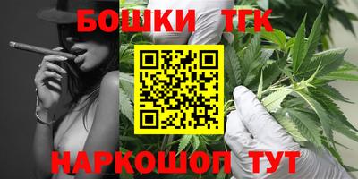 индика Апшеронск