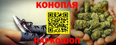 индика Апшеронск