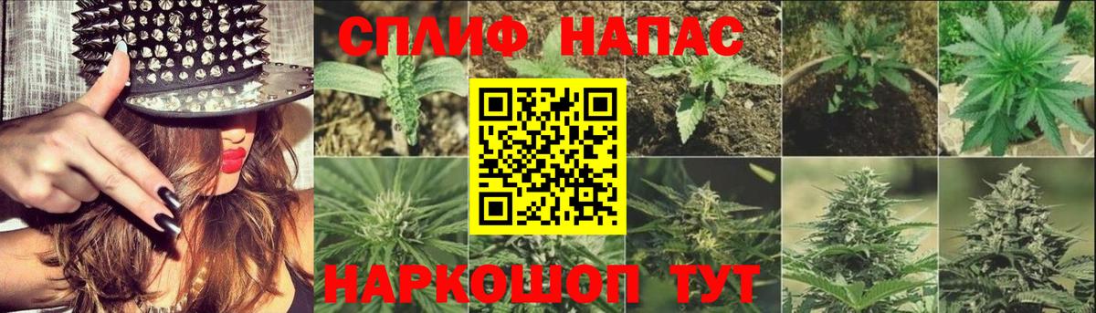 Всеволожск  Бошки марихуана SATIVA & INDICA  МАРИХУАНА конопля  Бошки Шишки индика  Вход с VPN 